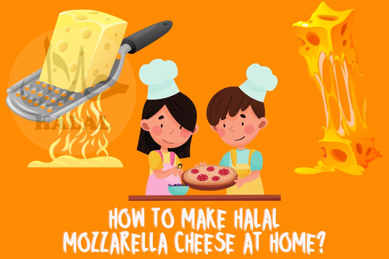 How to Make Halal Mozzarella Cheese at Home